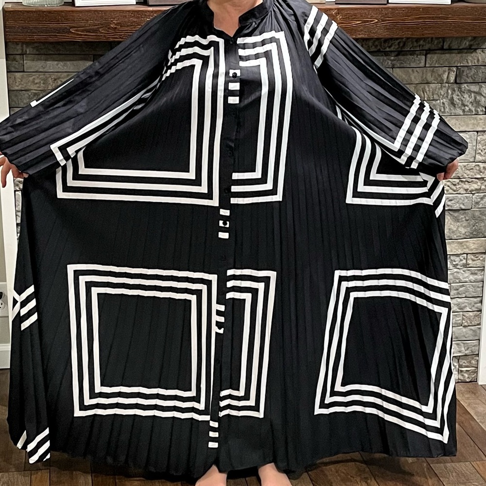 Pleated Button Down Dress - Picture 3 of 3